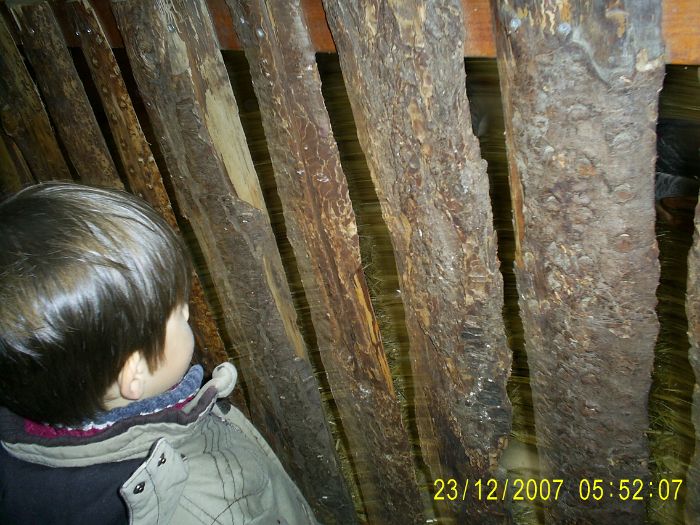S4024925.JPG