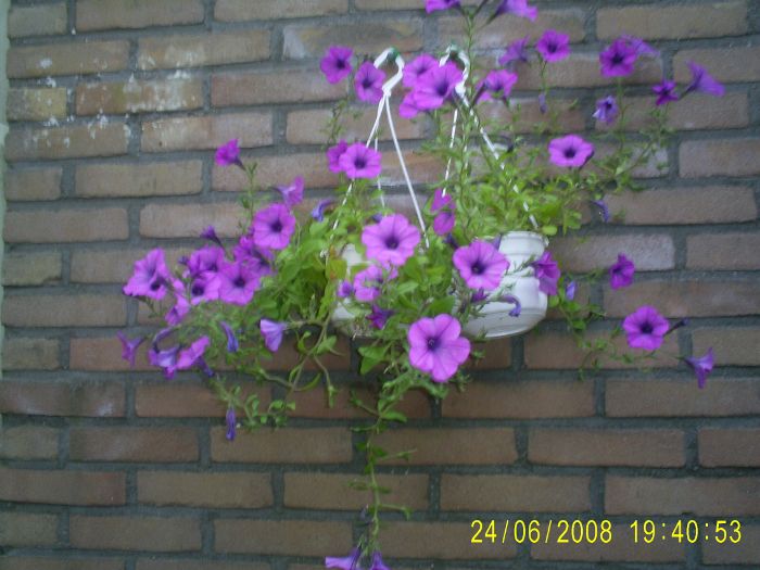 S4025958.JPG