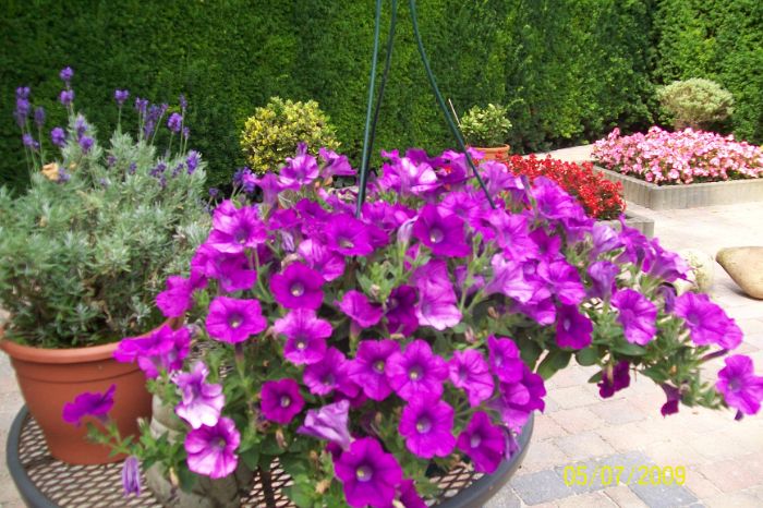 100_1277.JPG