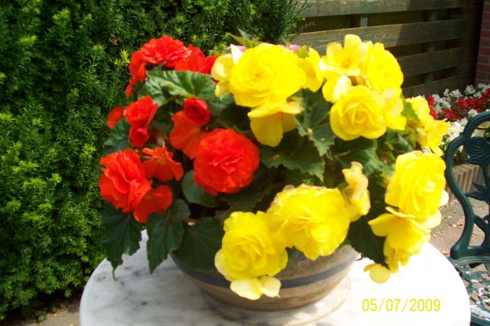 100_1278.JPG
