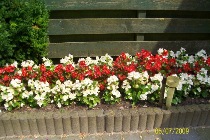 100_1279.JPG