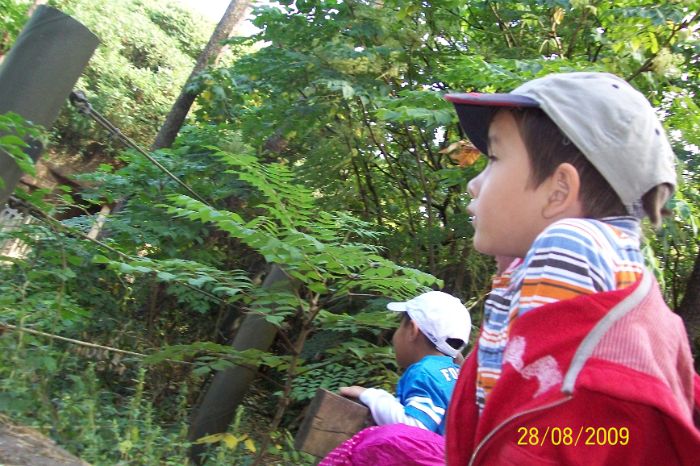 100_2094.JPG