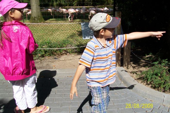 100_2120.JPG