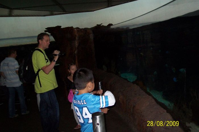 100_2174.JPG