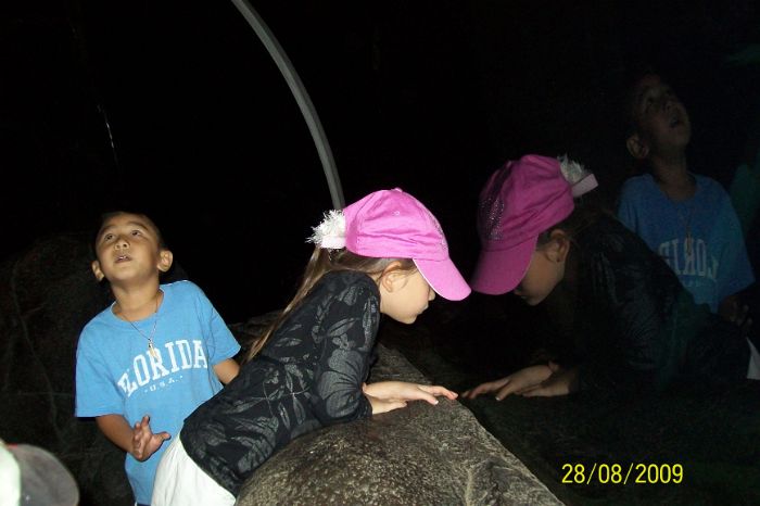 100_2203.JPG
