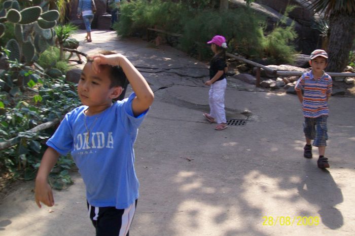 100_2280.JPG