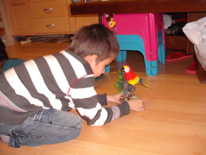DSCF4348.JPG