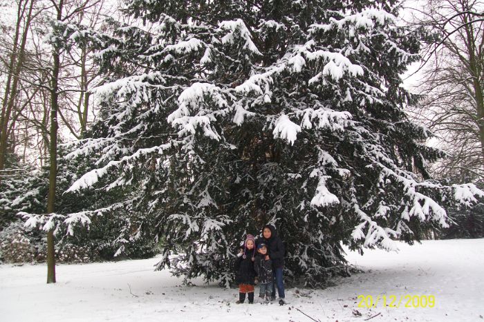 100_3917.JPG