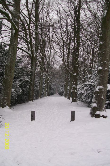 100_3922.JPG