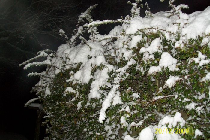 100_3990.JPG