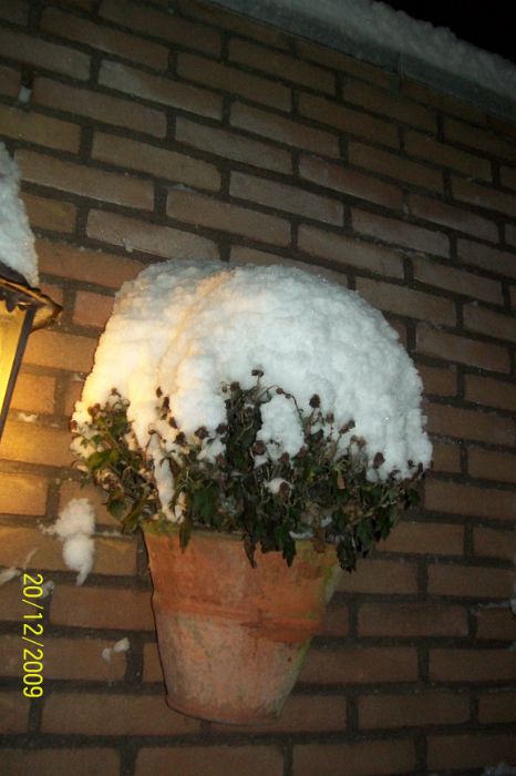 100_3992.JPG