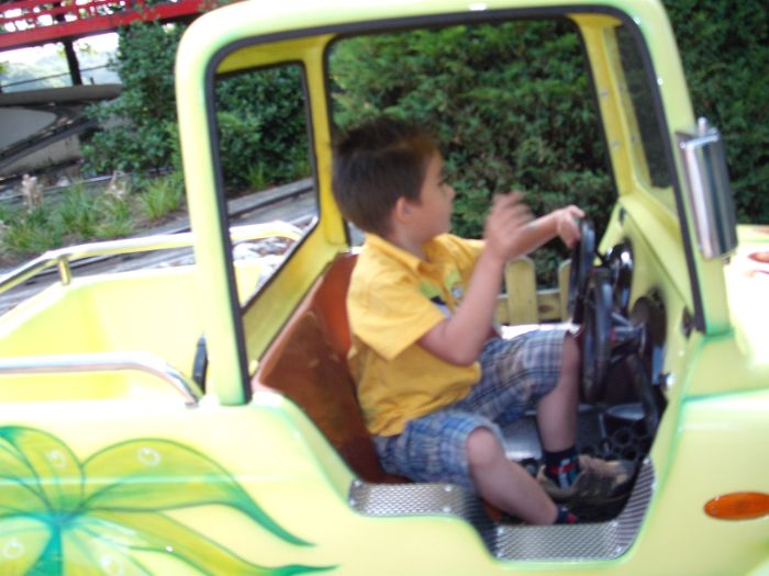 DSCF3731.JPG