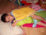 DSCF3313