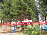 DSCF3825
