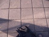 DSCF4038