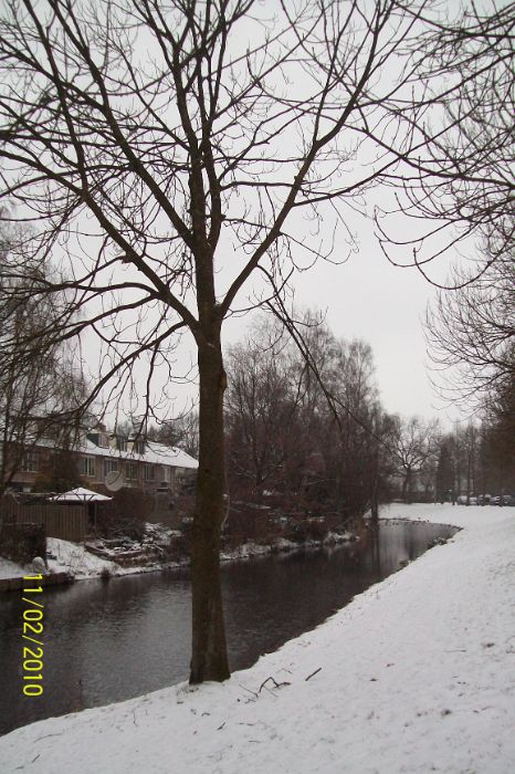 100_4461.JPG