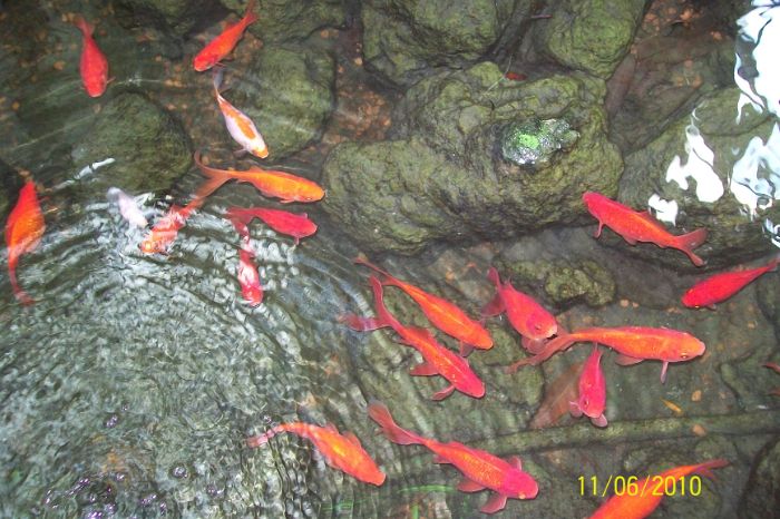 100_6127.JPG