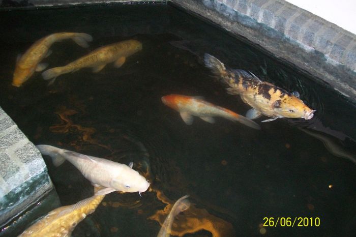 100_6707.JPG