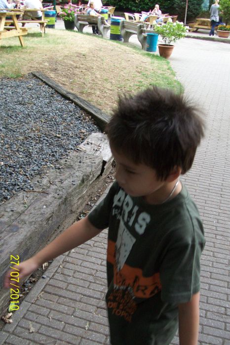 100_7361.JPG