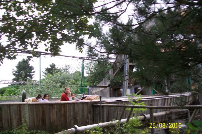 100_9126.JPG