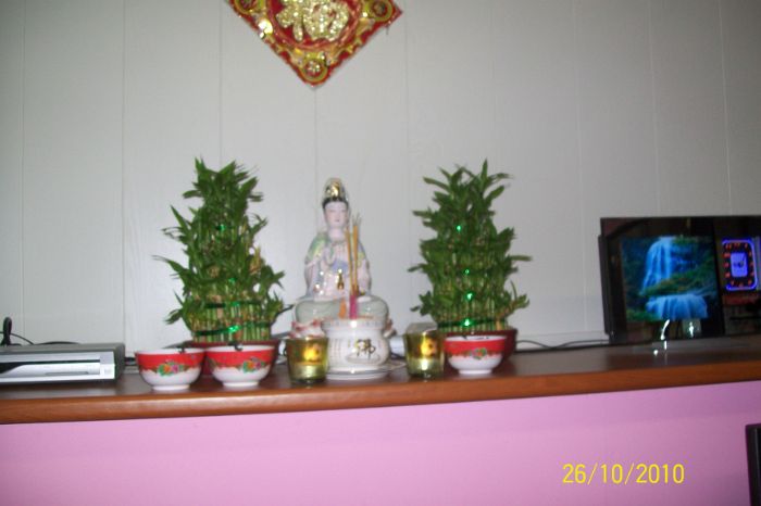 101_0016.JPG