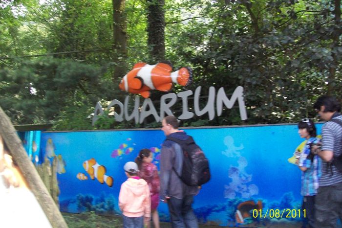 101_4176.JPG