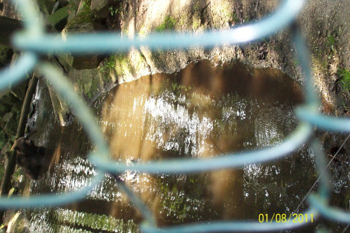 101_4220.JPG