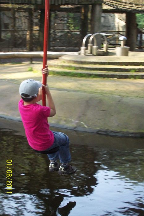101_4305.JPG