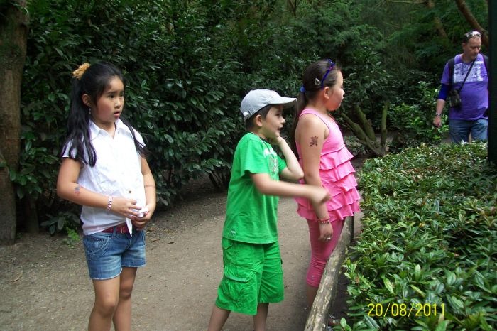 101_5605.JPG