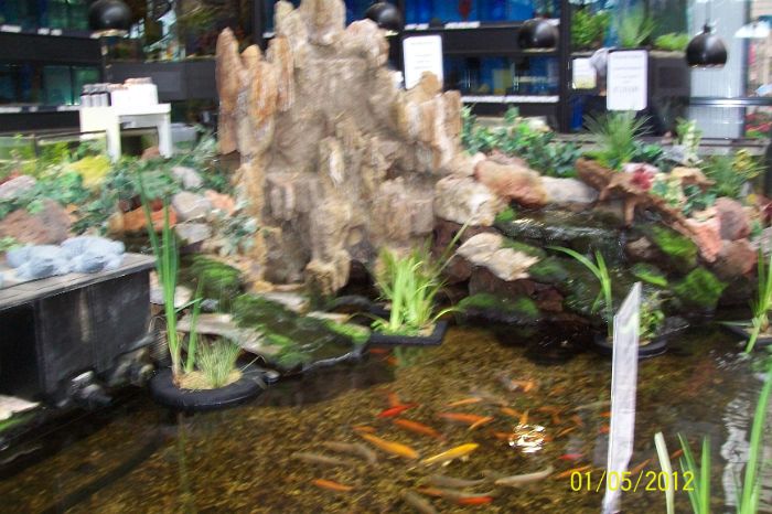 101_9835.JPG