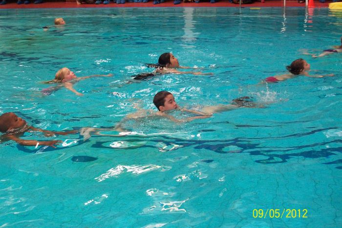 101_9954.JPG