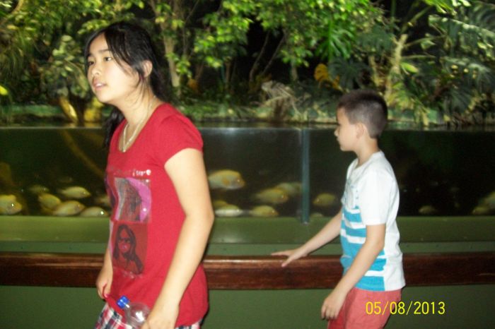100_7244.JPG