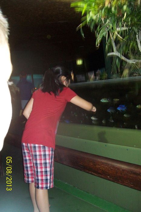 100_7245.JPG