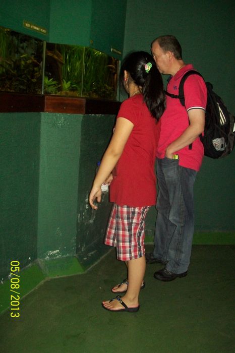 100_7247.JPG