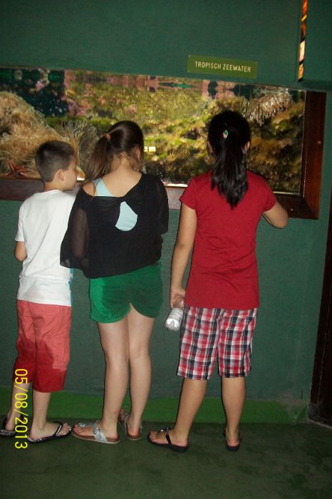 100_7248.JPG