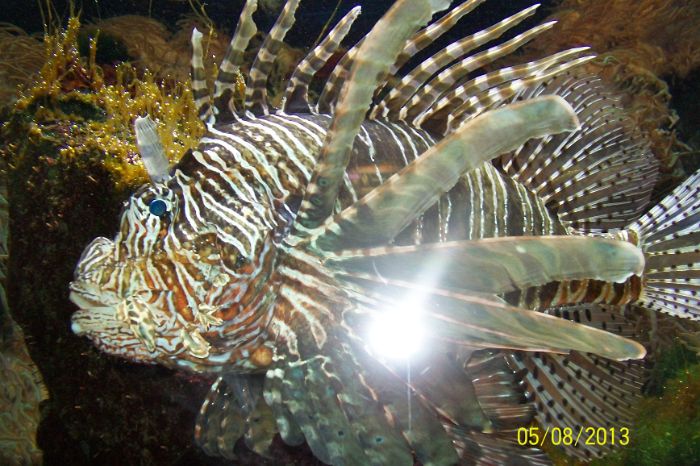 100_7249.JPG