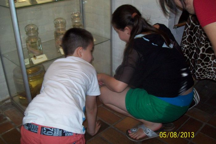 100_7261.JPG