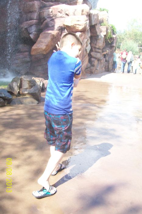 100_7401.JPG