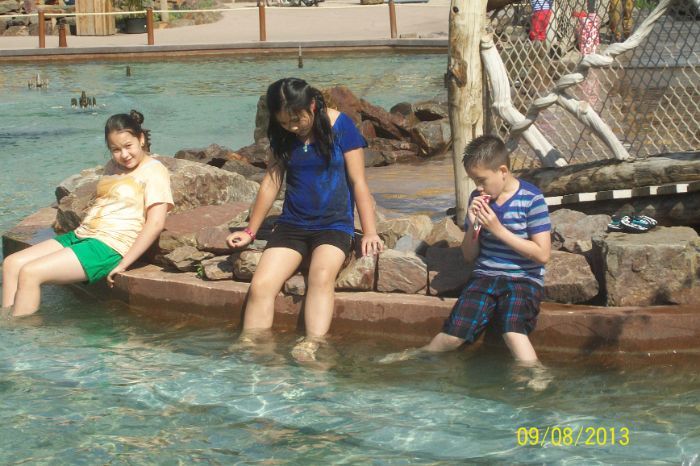 100_7460.JPG