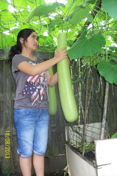 100_7529.JPG