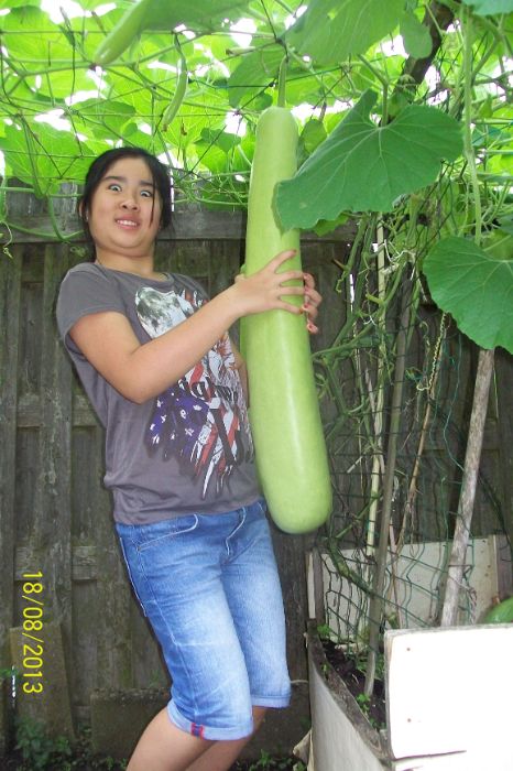 100_7530.JPG