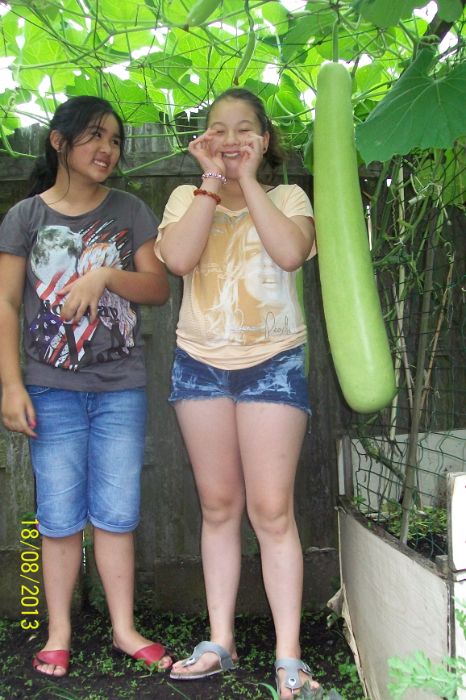 100_7533.JPG
