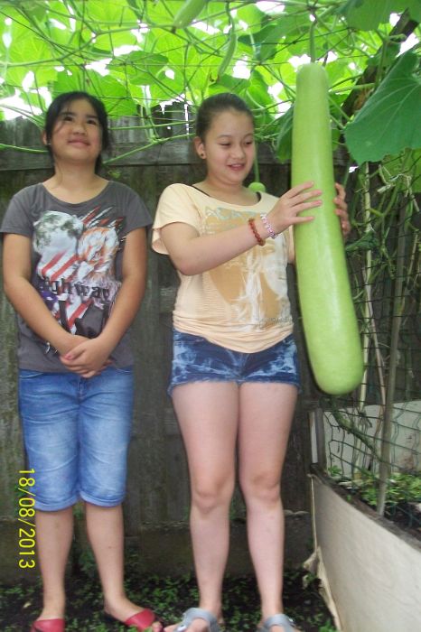 100_7534.JPG