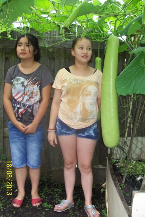 100_7537.JPG