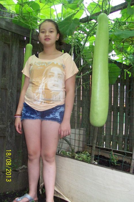 100_7538.JPG