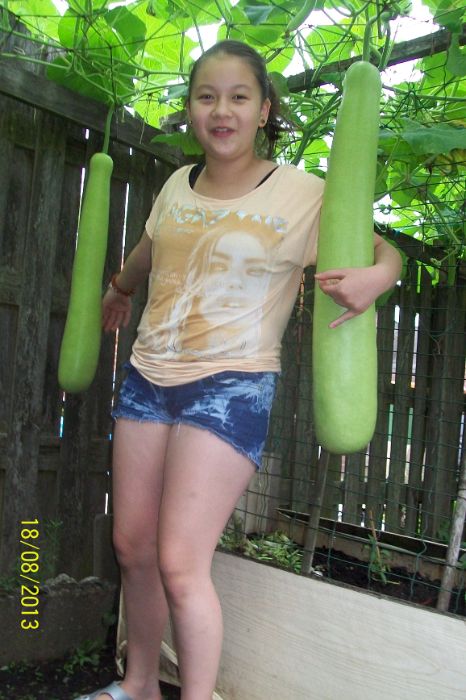 100_7540.JPG