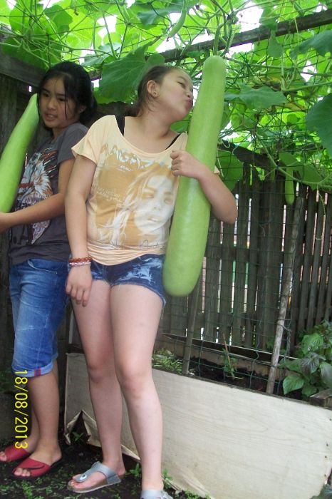 100_7543.JPG