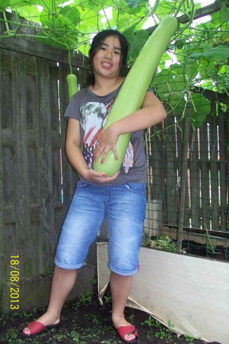 100_7544.JPG