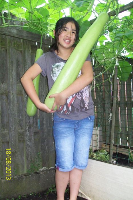 100_7545.JPG