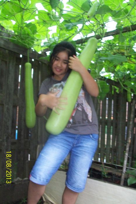 100_7546.JPG